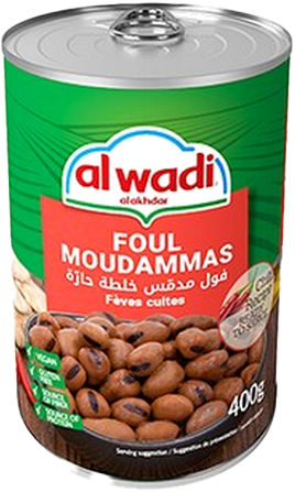 AL WADI FOUL MOUDAMES