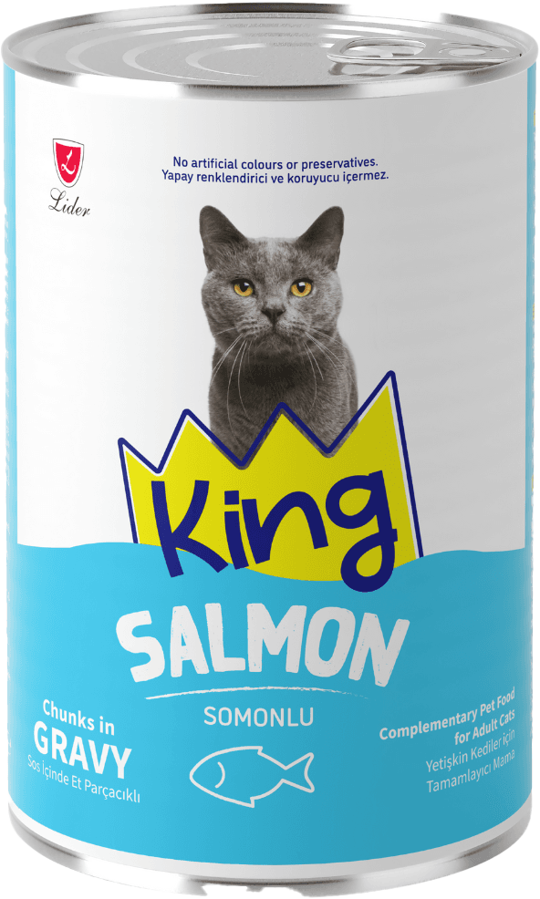 CAN CAT  CHUNKS GRAVY SALMON