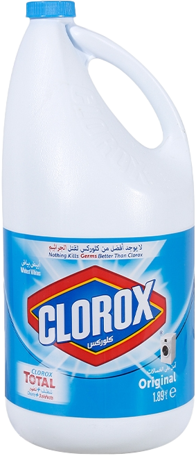 CLOROX REGULAR