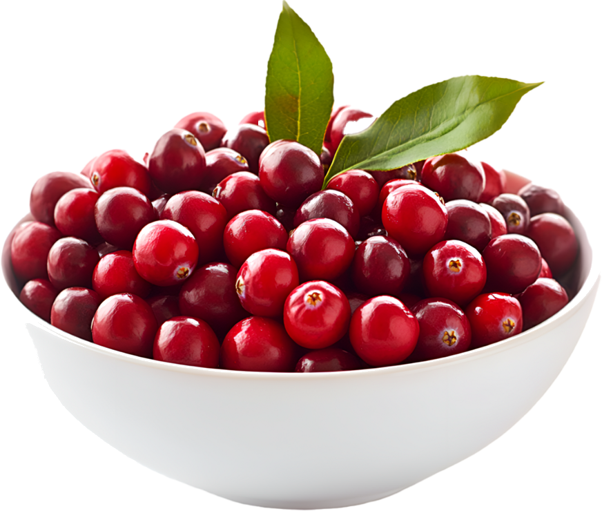 CRANBERRIES
