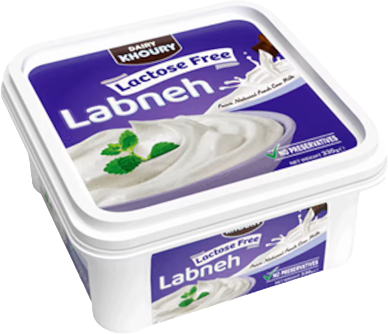 DAIRY KHOURY LABNE LACTOSE FREE