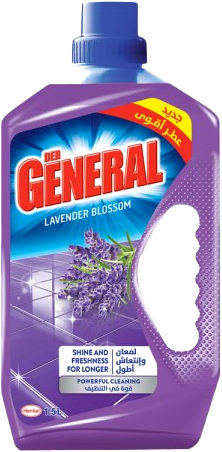 DER GENERAL LAVENDRE