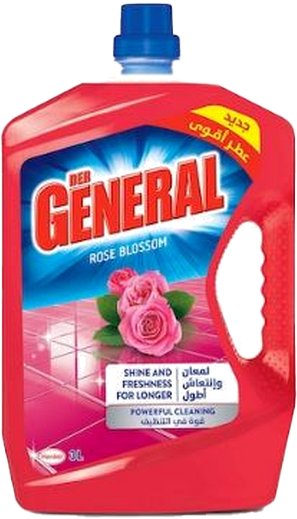 DERGENERAL ROSE