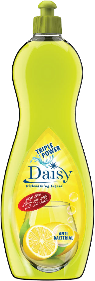 DISHY CLASSIC