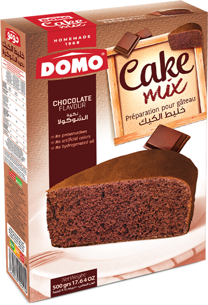 DOMO CHOCO CAKEx2+CHOCO MILK SYROP+S