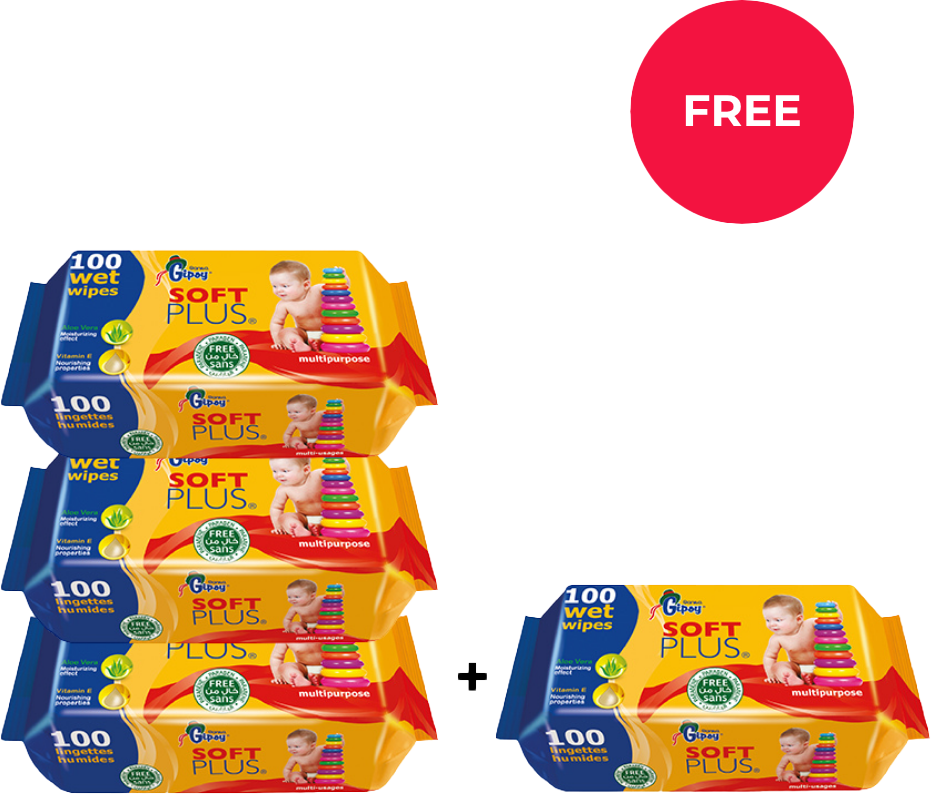 GIPSY WIPES