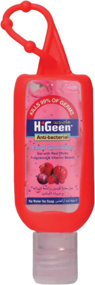 HIGEEN HAND GEL FRUIT