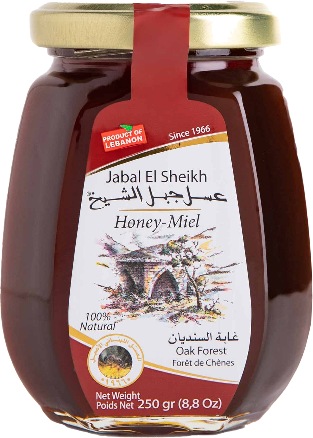 JABAL EL SHEIKH MOUN OAK