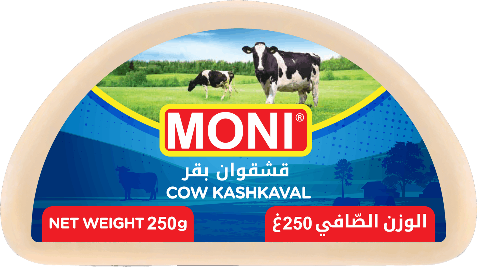 MONI COW KASHKAVAL