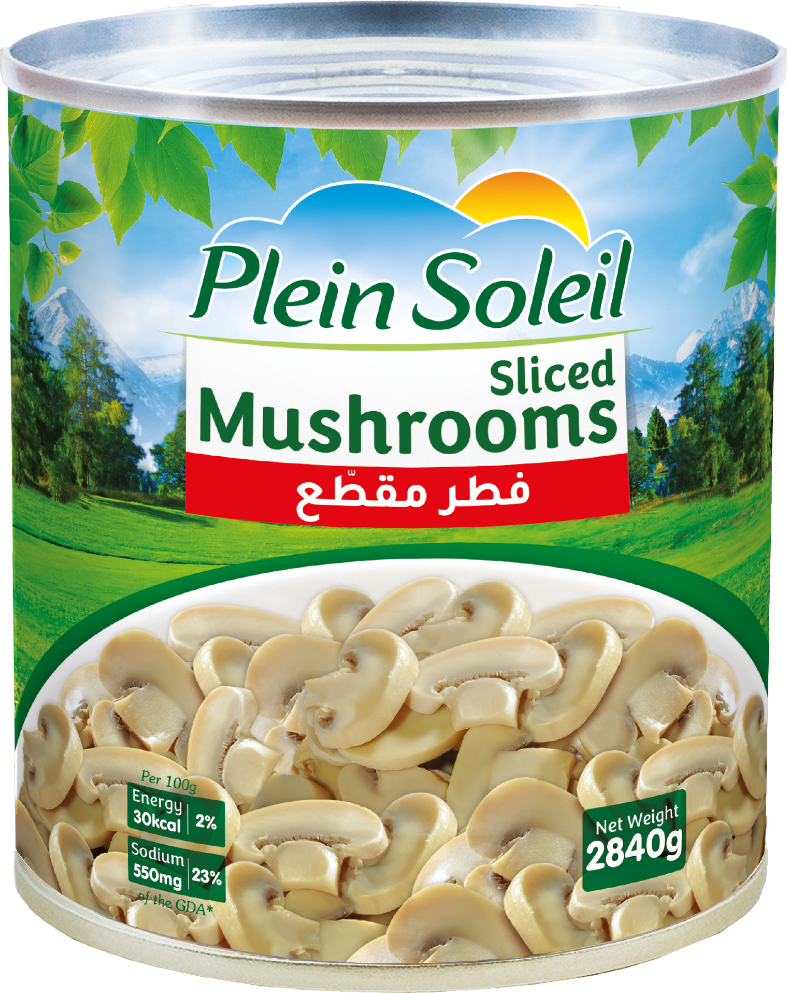 PEIN SOLEIL MUSHROOM SLICE