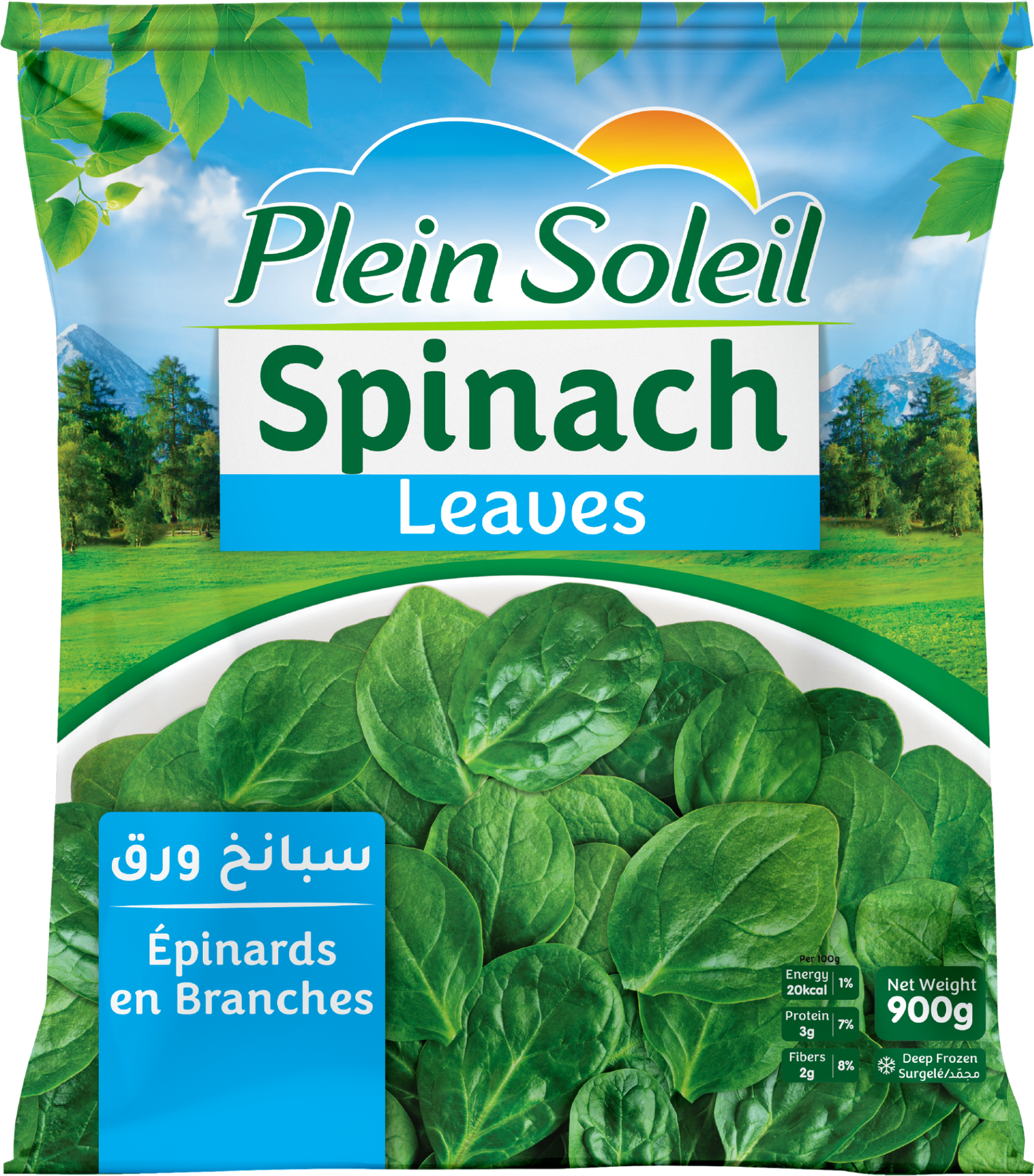 PLEIN SOLEIL SPINACH LEAVES