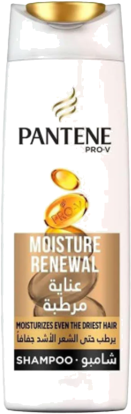 PNT SH MOISTURE 600ML