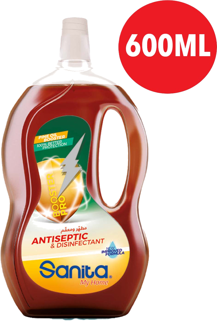 SANITA ANTISEPTIC DISINFECTANT
