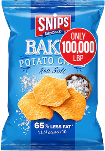 SNIPS CHIPS SALT