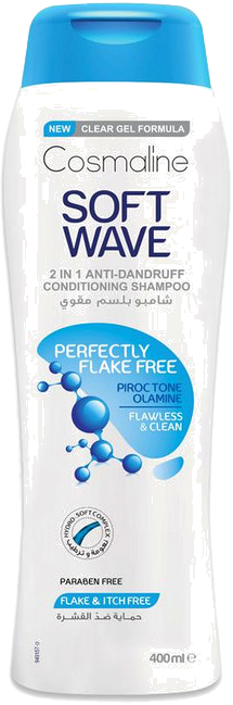 SW ANTIDANDRUFF HAIR 400ML